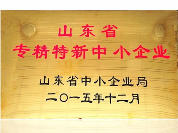 山东省专精特新中小企业
